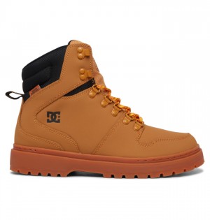 Botas de Invierno DC Shoes Peary Encaje Hombre Marrom Negros | XKONPV-631