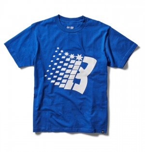Camiseta DC Shoes Bronze56K x DC Star Heritage Hombre Azules | KOEDNP-691